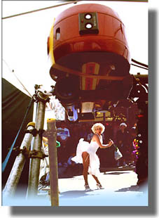 Theme Park Rides